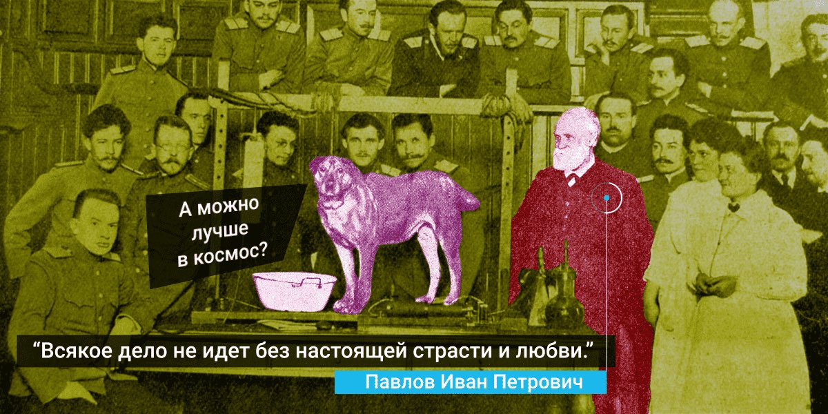 Собака Павлова